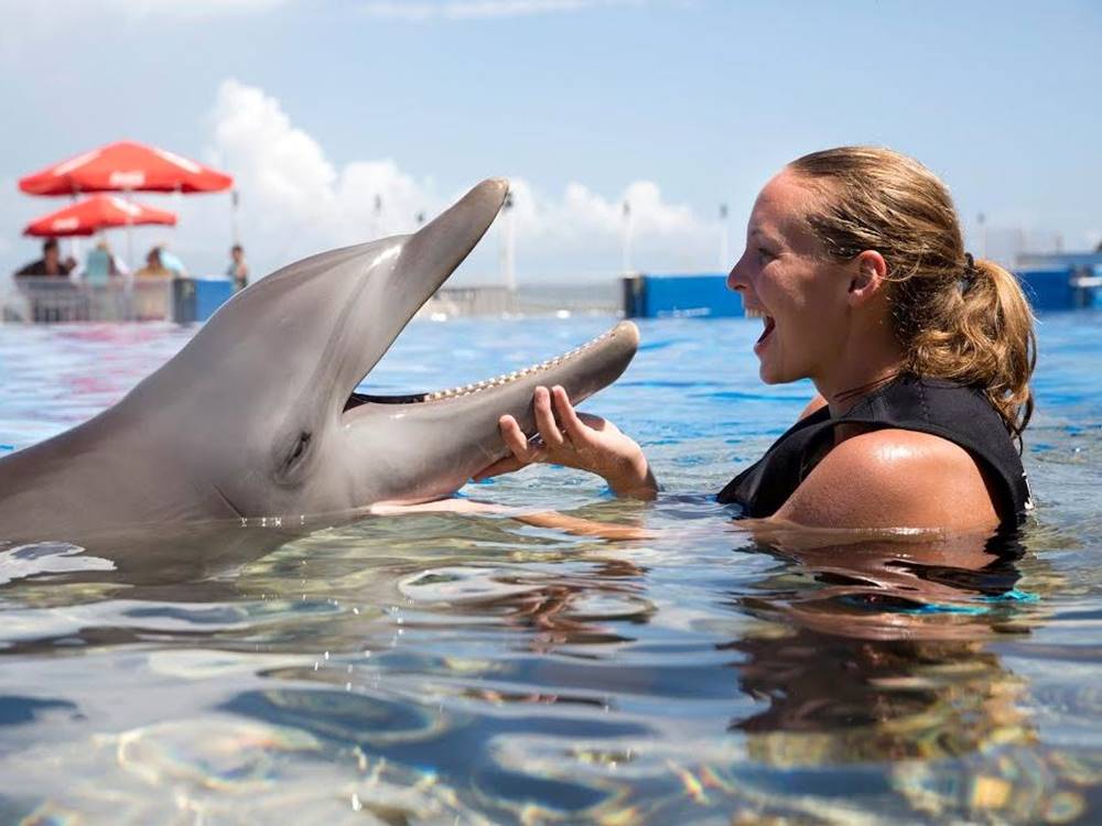 Swimming with Dolphins in Kusadasi