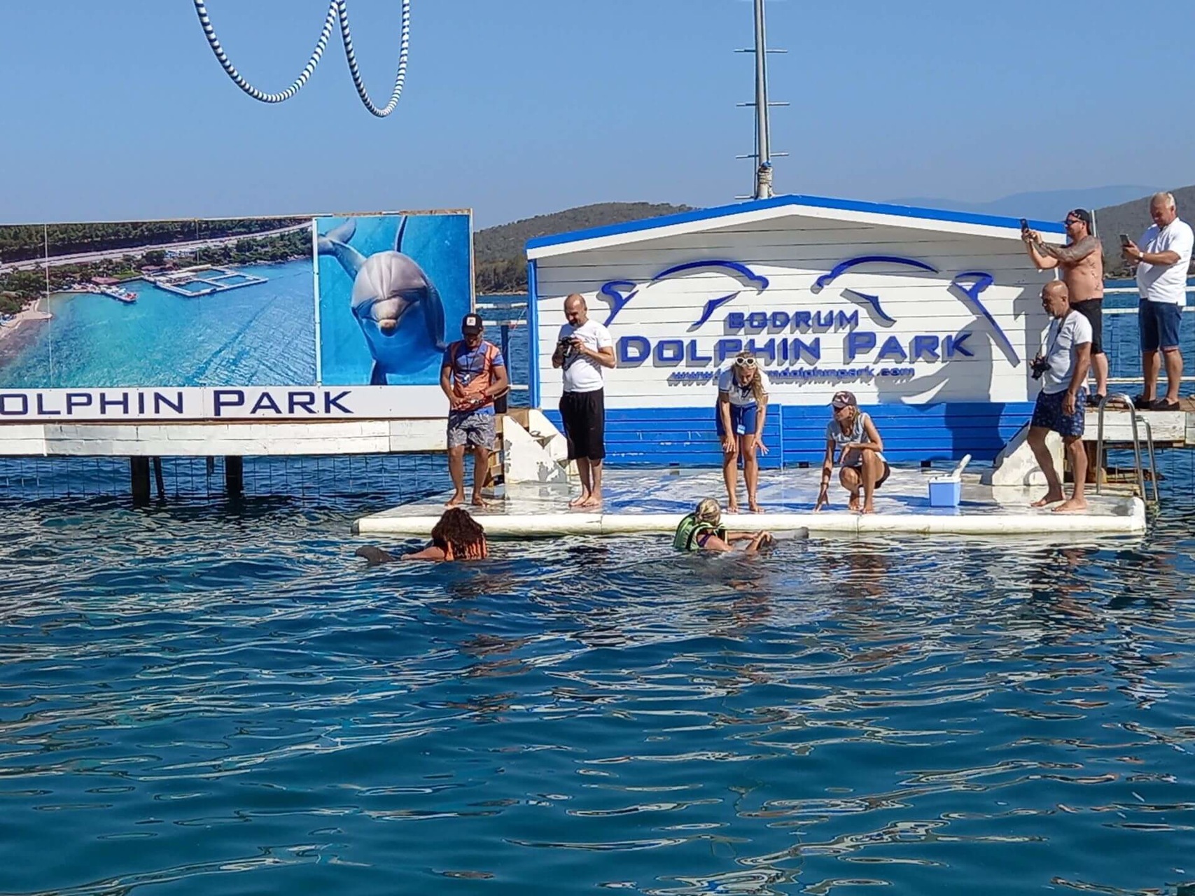 Шоу дельфинов в Бодруме