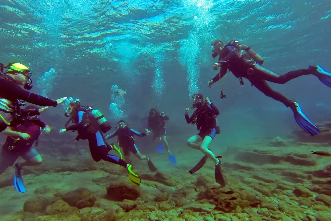 Дайвинг в Бодруме