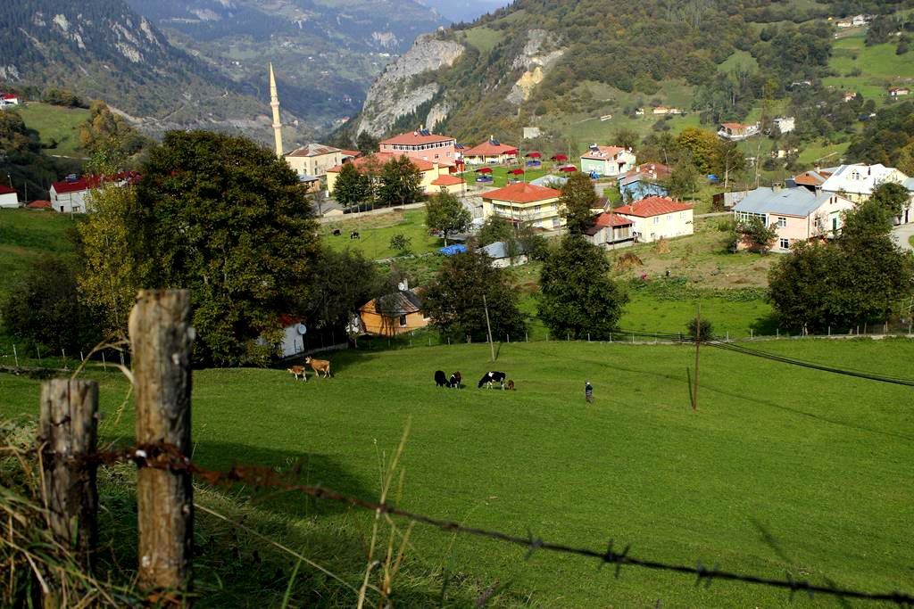 Экскурсия в Зигана, Хамси-Кёй и пещеру Карача из Трабзона