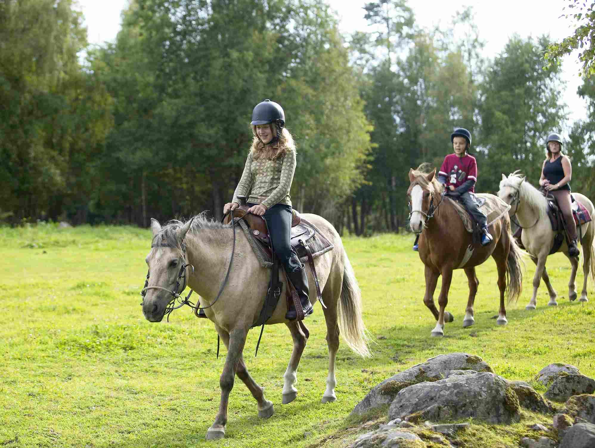 Прогулка на лошадях в Трабзоне