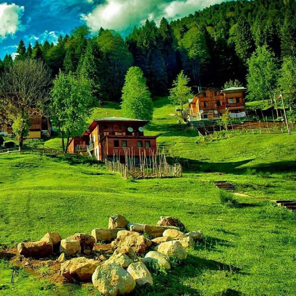 Haider Nabi Tour Trabzon