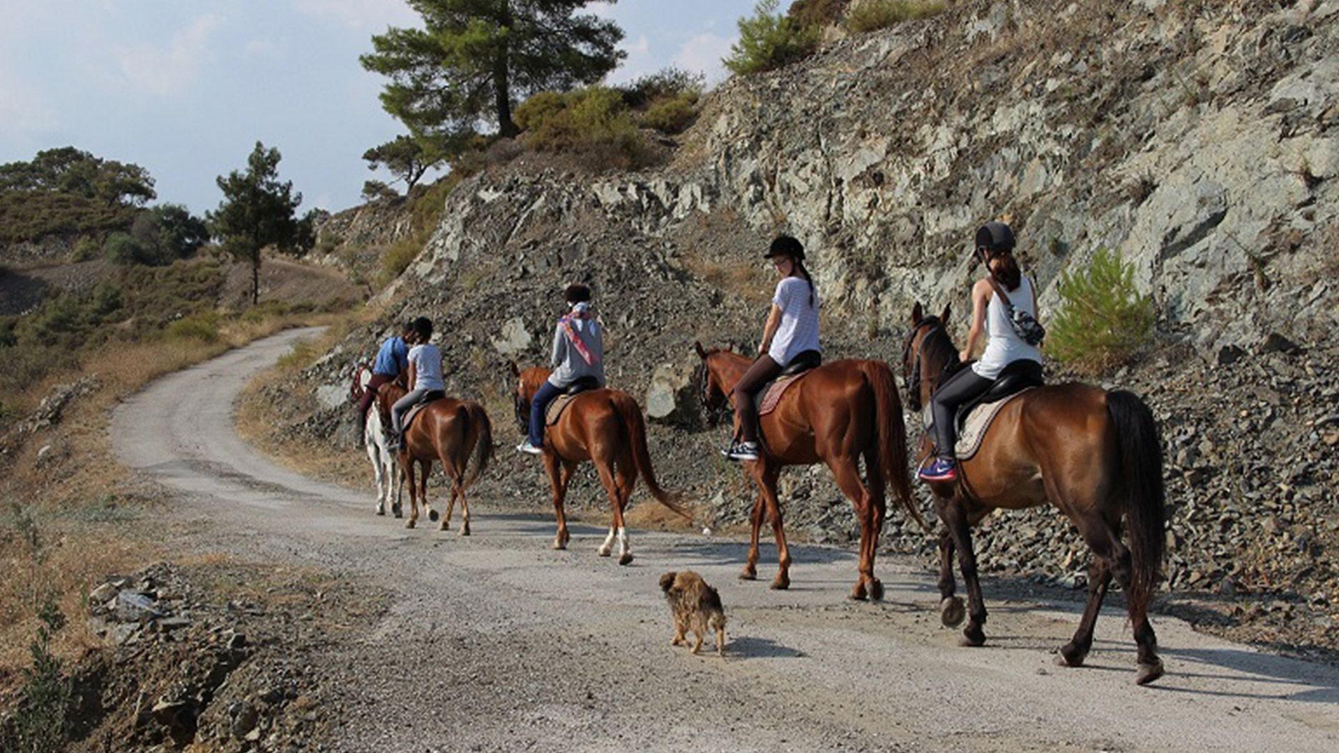 Прогулка на лошадях в Бодруме