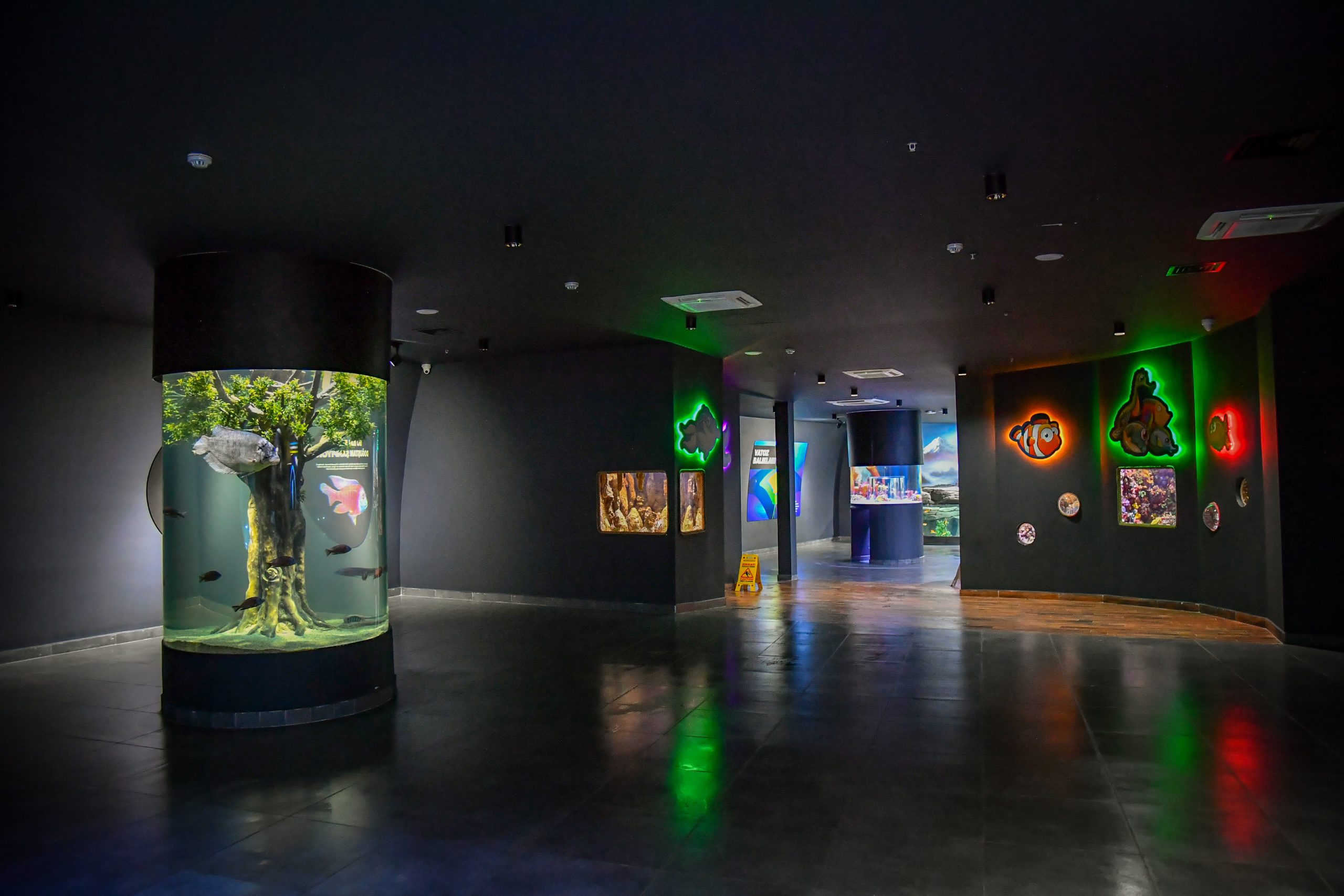 Аквариум в Трабзоне