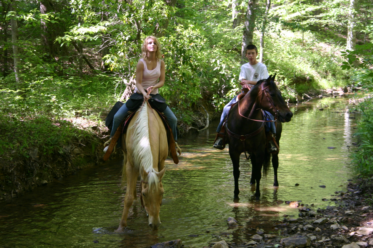 Horse Riding in Trabzon