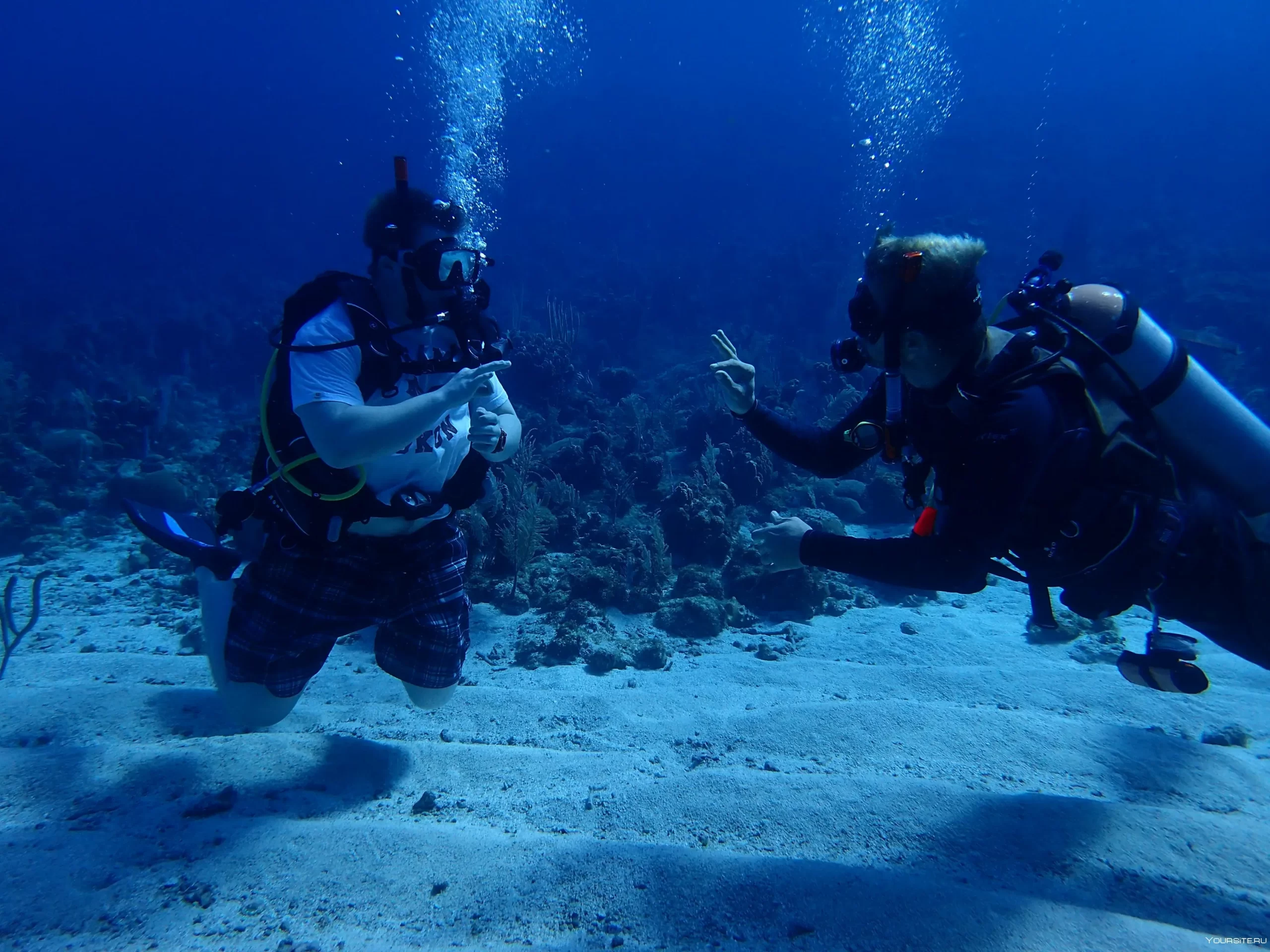 Дайвинг В Фетхие