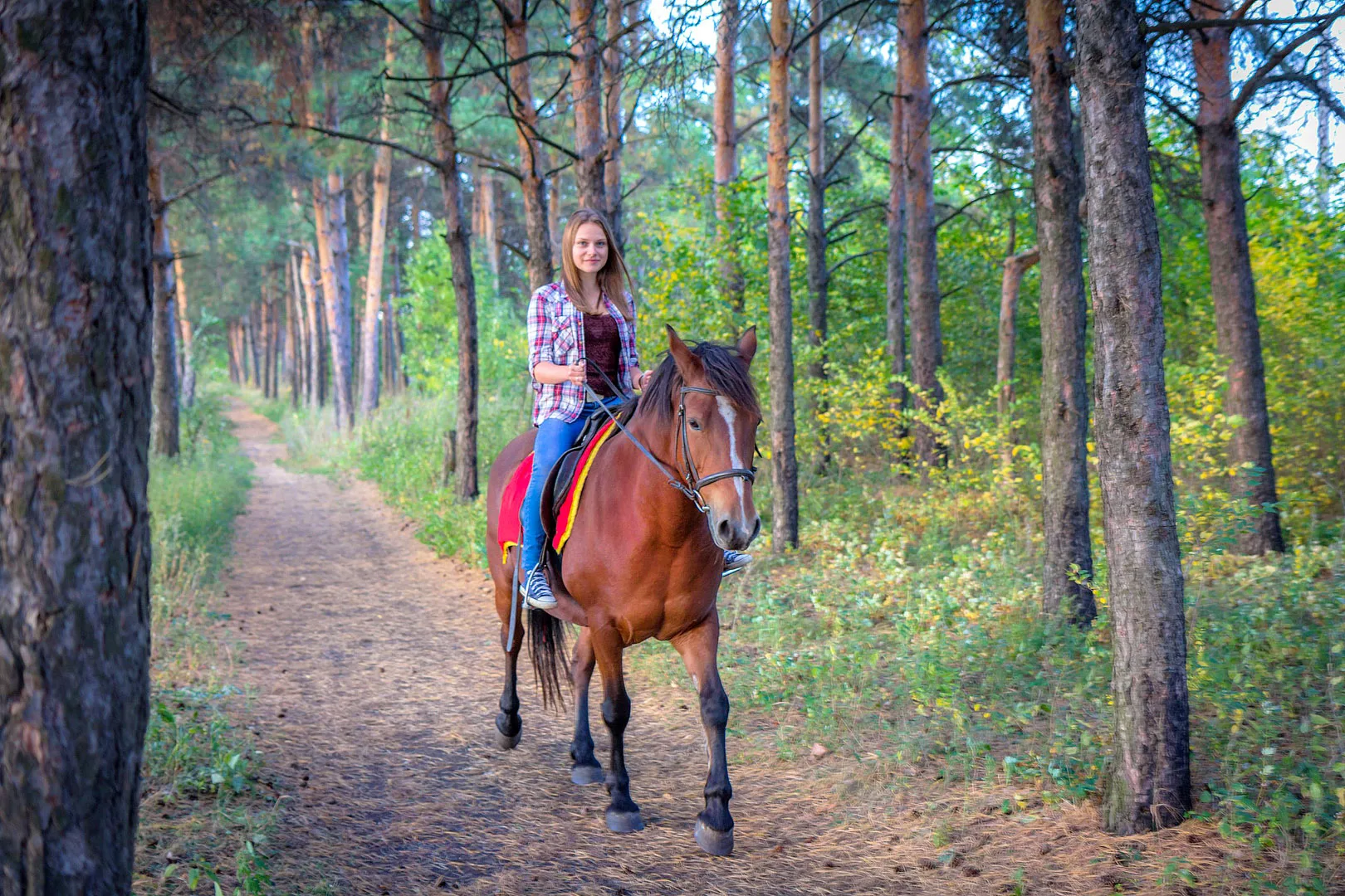 Fethiye horse riding