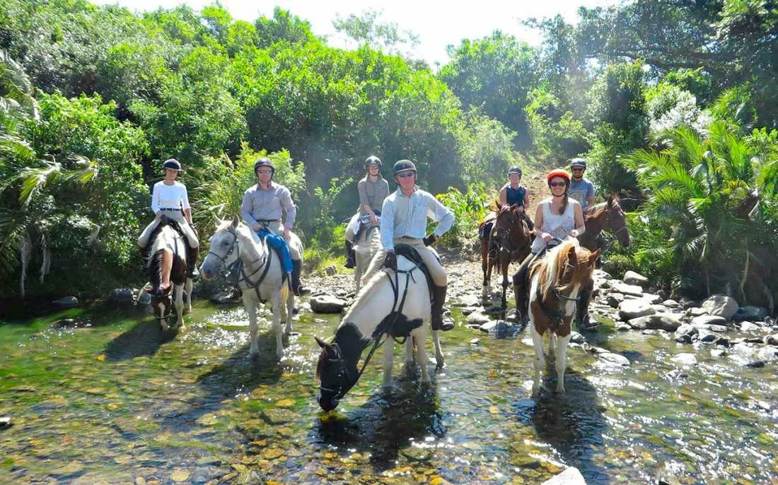 Прогулка на лошадях в Трабзоне