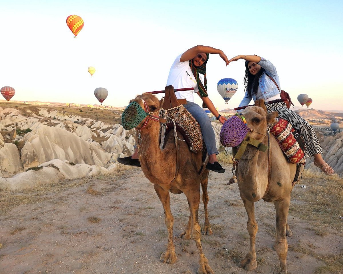 Сафари на верблюдах в Каппадокии