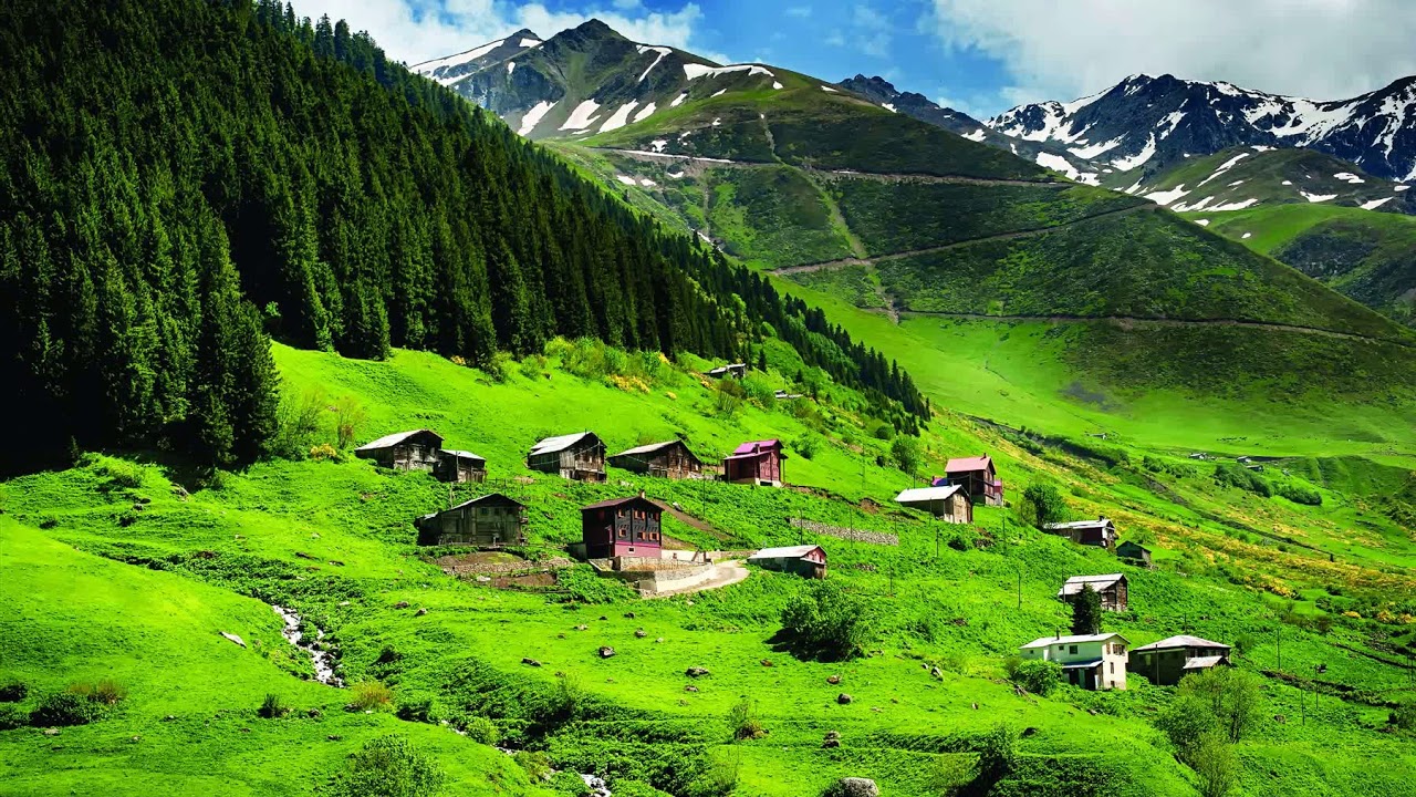 Haider Nabi Tour Trabzon
