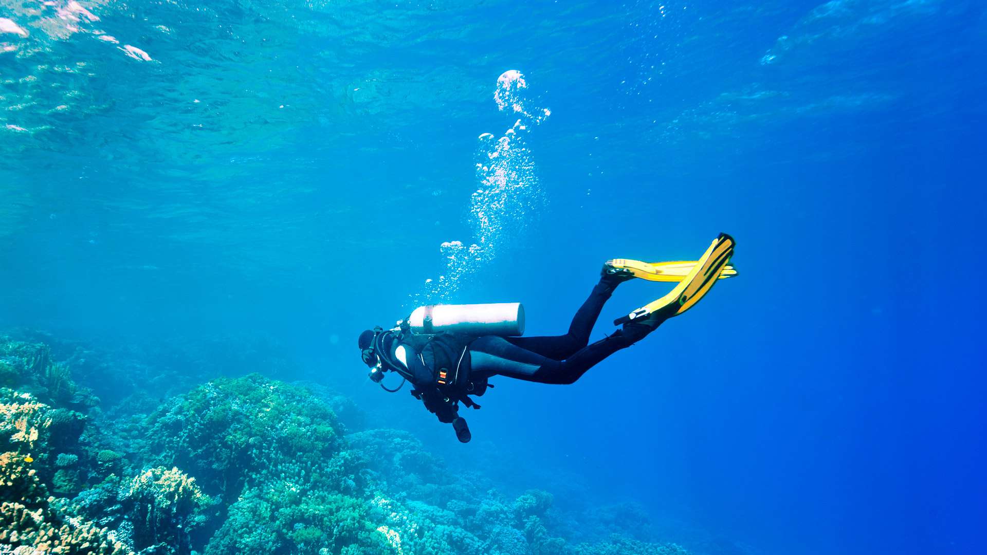 Дайвинг в Кушадасы