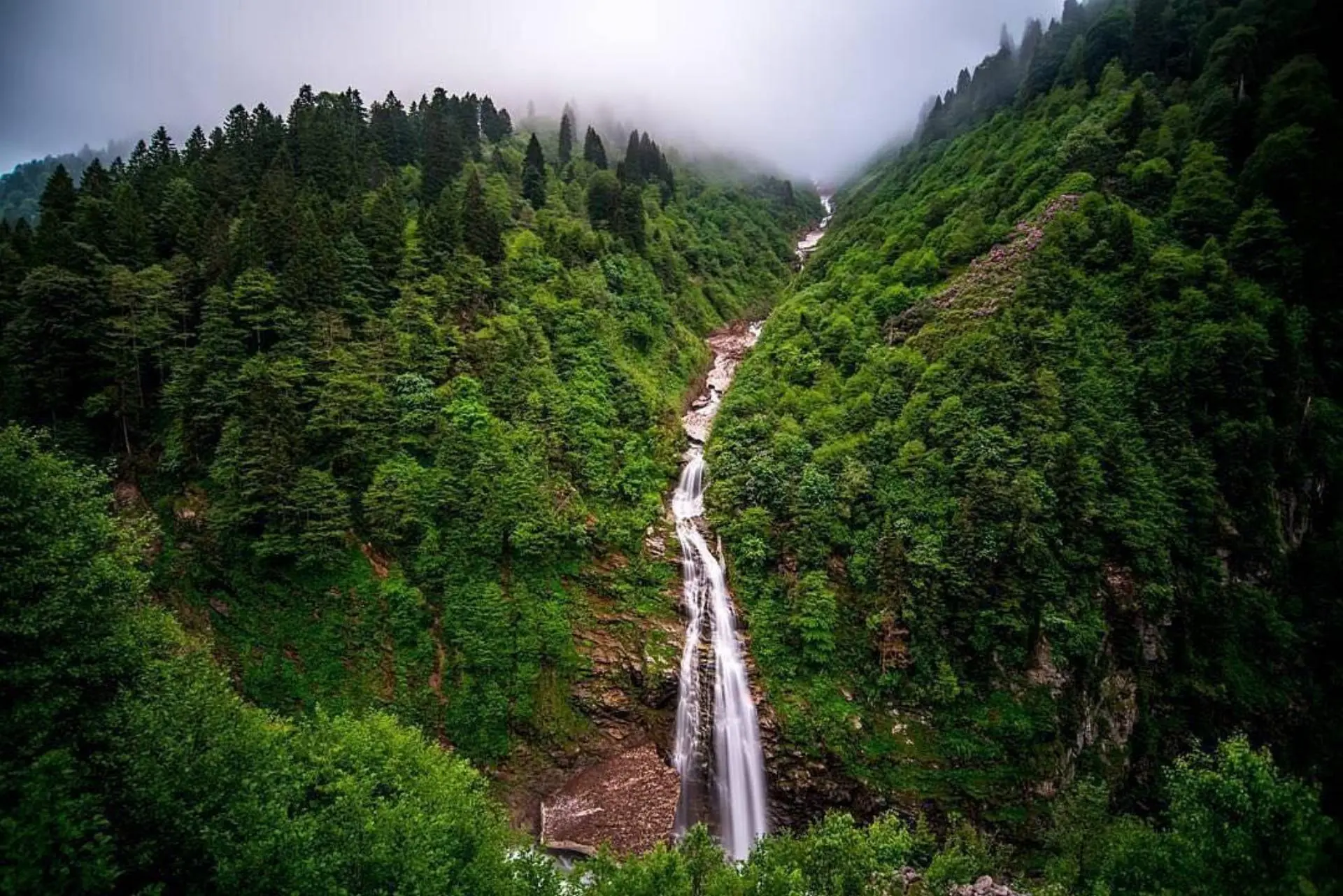 Экскурсия по Айдеру и долине Фиртина из Трабзона