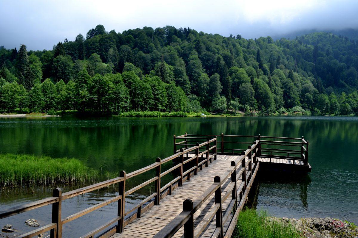 Экскурсия на озеро Карагёль из Трабзона