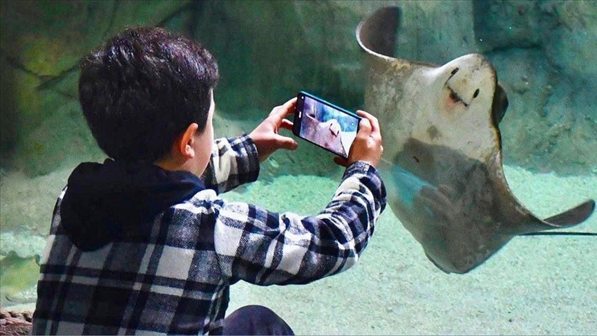 Аквариум в Трабзоне