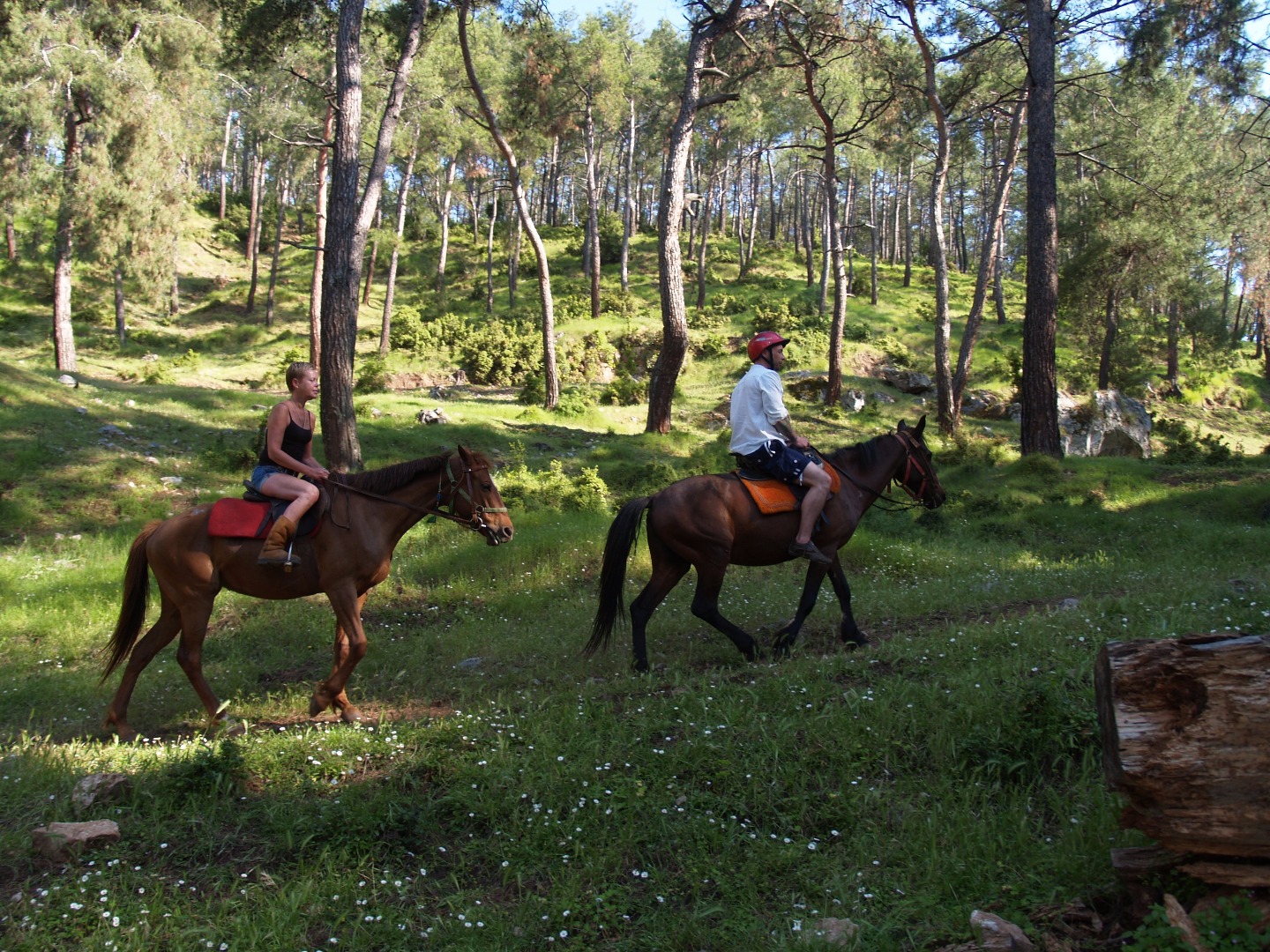Прогулка на лошадях в Дидиме