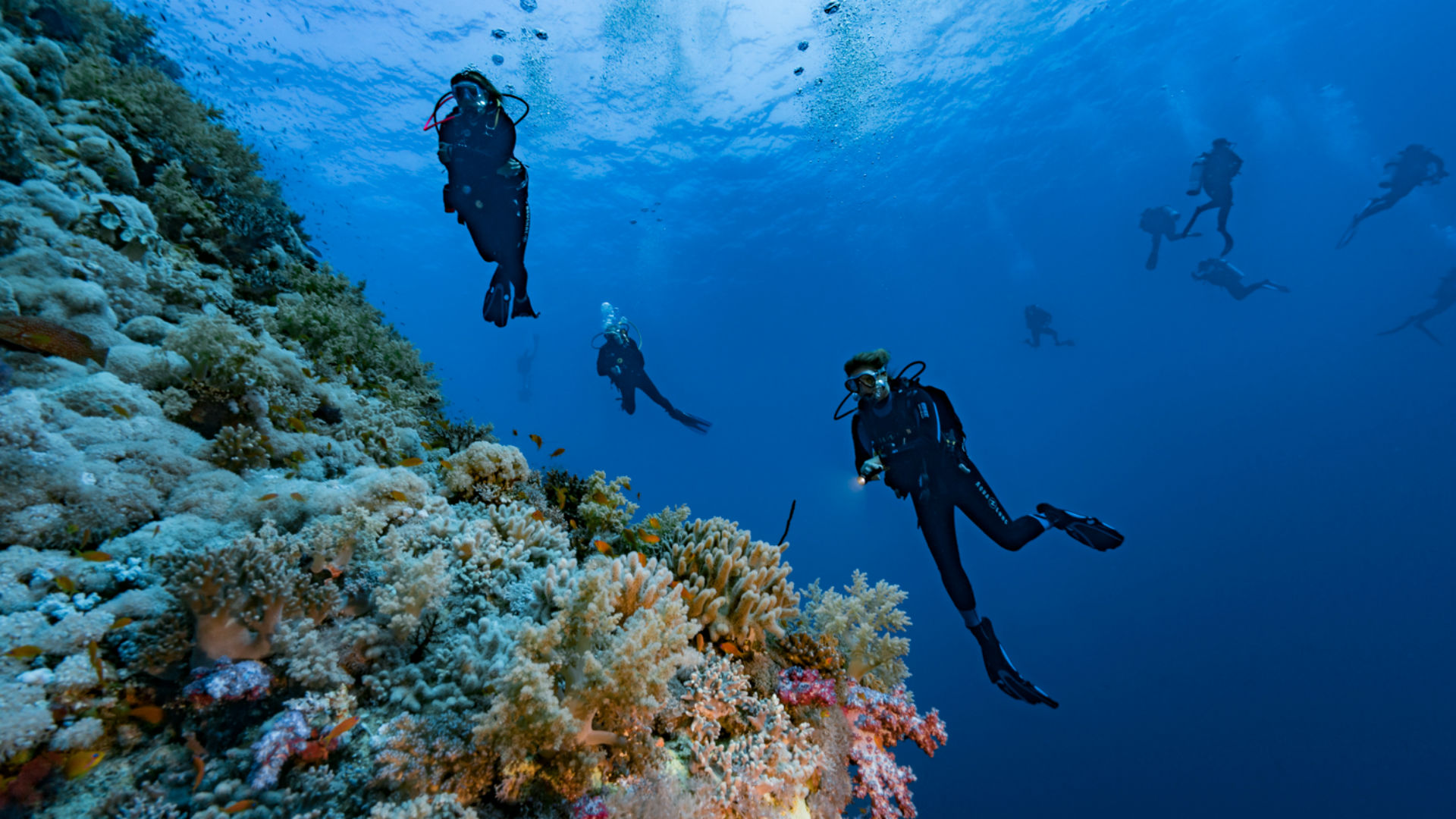 Дайвинг в Стамбуле