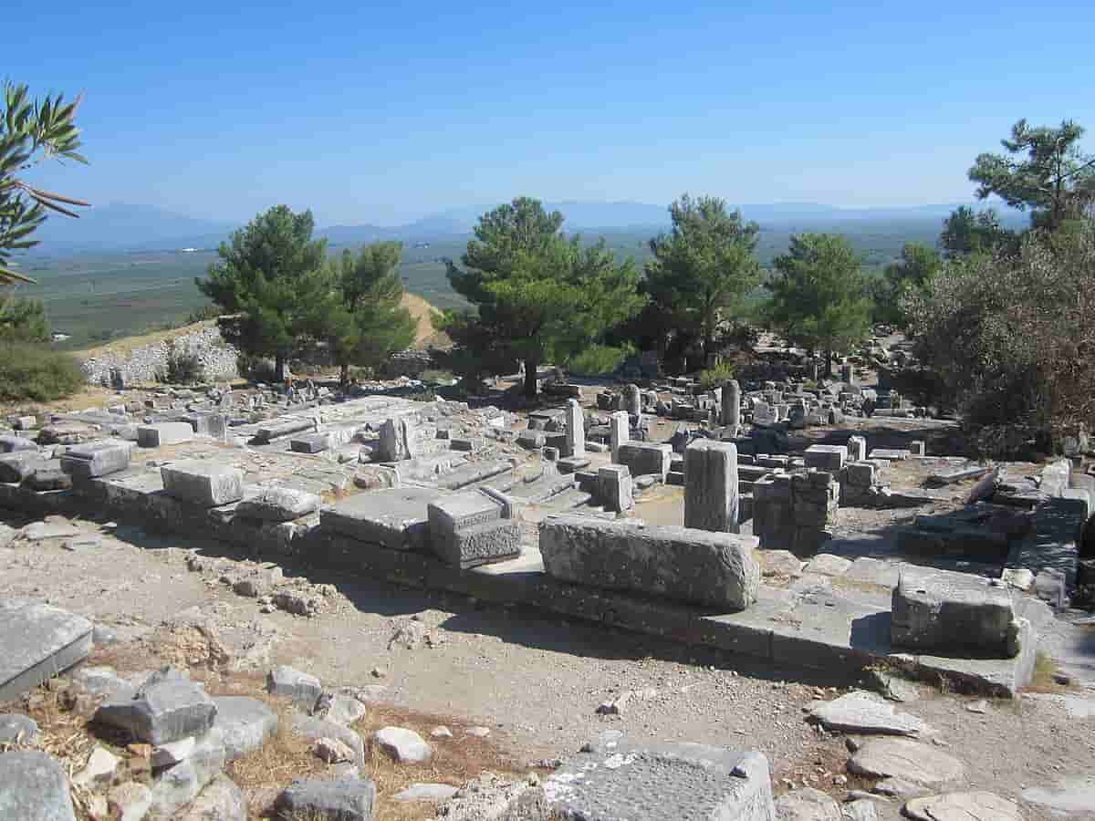 Priene Miletos Tour from Didim