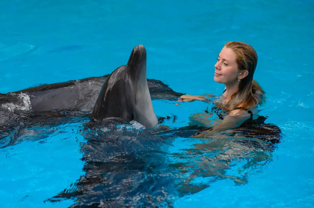 Плавание с дельфинами в Стамбуле