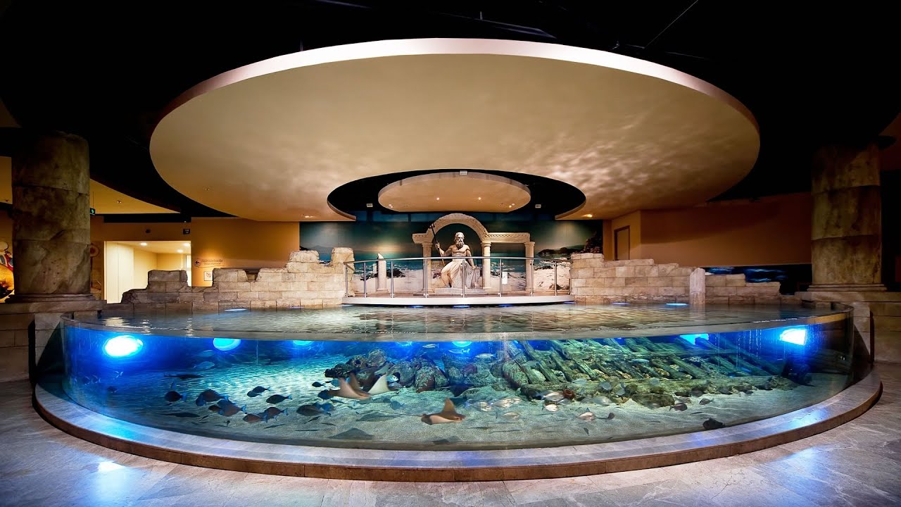 Стамбульский аквариум | погружение в мир морских чудес