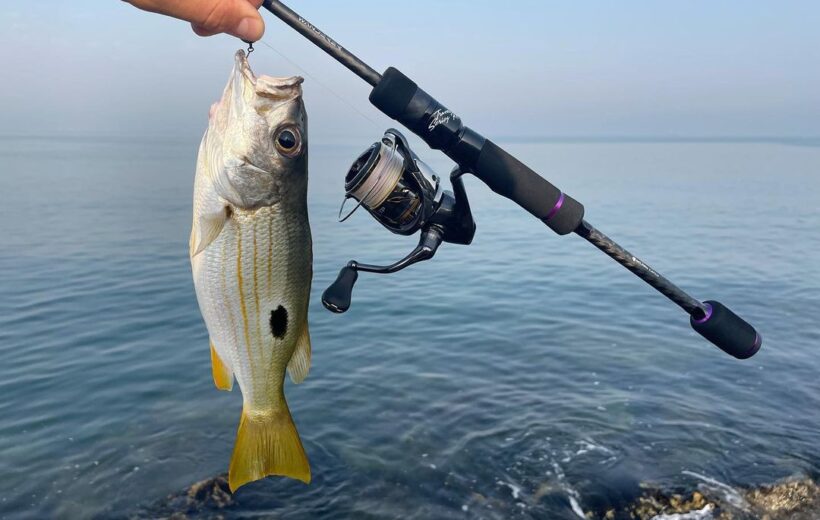 Рыбалка в Дидиме