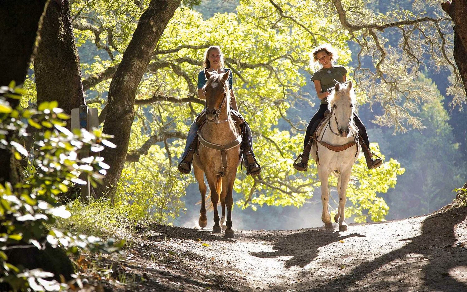 Horse Riding in Kas