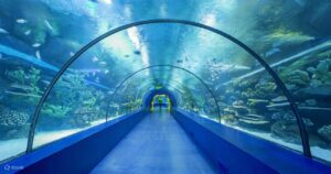 Aquarium Visits in Turkey